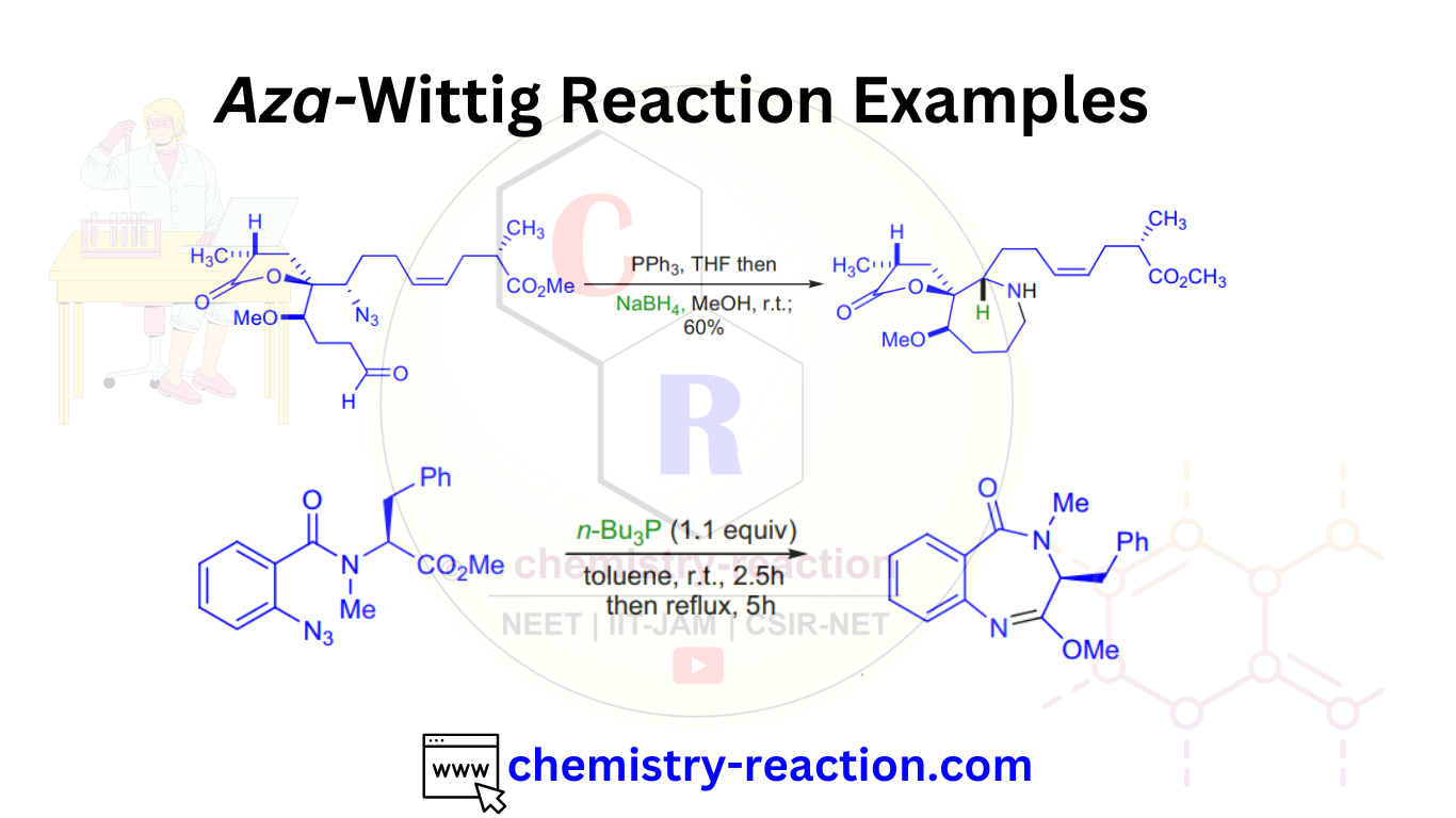 Aza Wittig Reaction Mechanism Examples