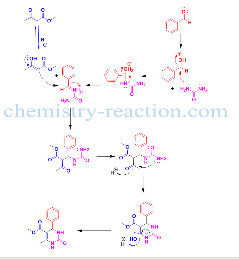 Biginelli reaction mechanism ,
Biginelli reaction reagents, 
dihydropyrimidinone synthesis mechanism