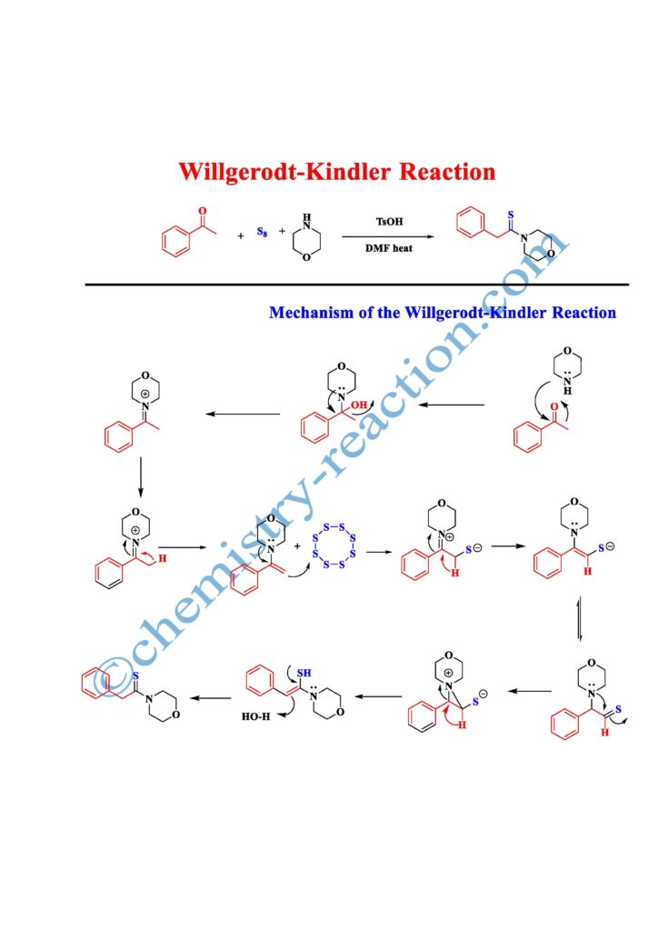 Willgerodt-Kindler Reaction,
modification of the Willgerodt Reaction,
amid preparation, elemental sulfur reaction, thioamide preparation  