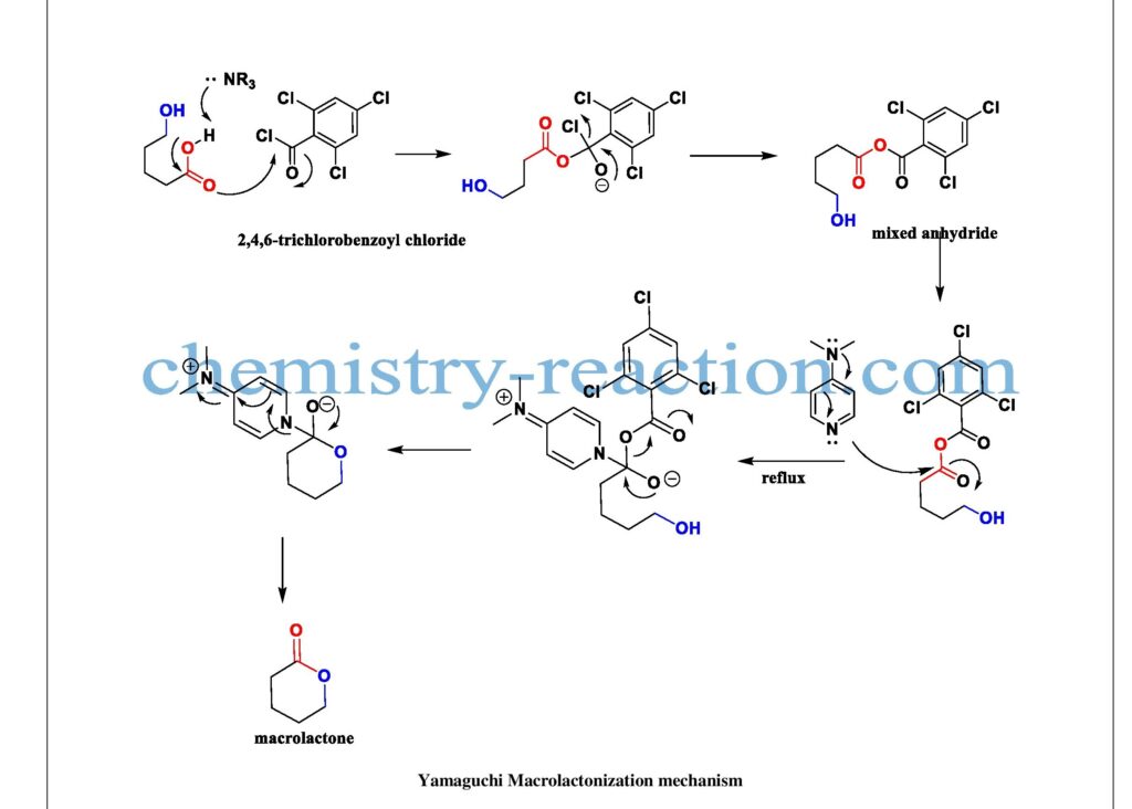 Yamaguchi Macrolactonization Mechanism