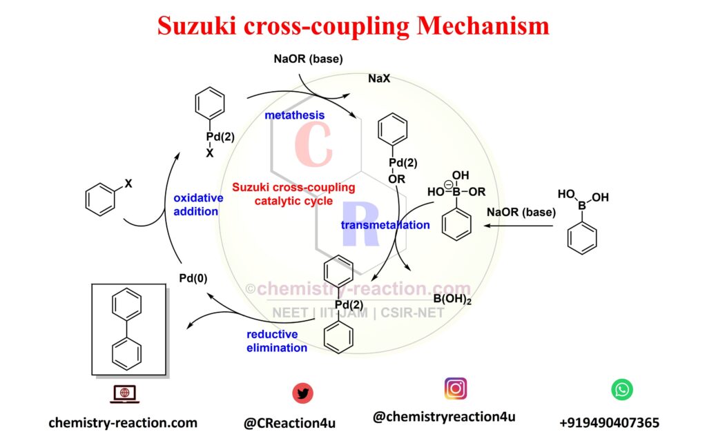 Suzuki-Miyaura cross-coupling mechanism| Suzuki cross-coupling mechanism | intermediates in Suzuki reaction 