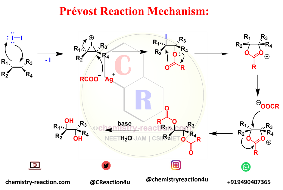 Prévost Reaction Mechanism |
 prevost woodward reaction mechanism