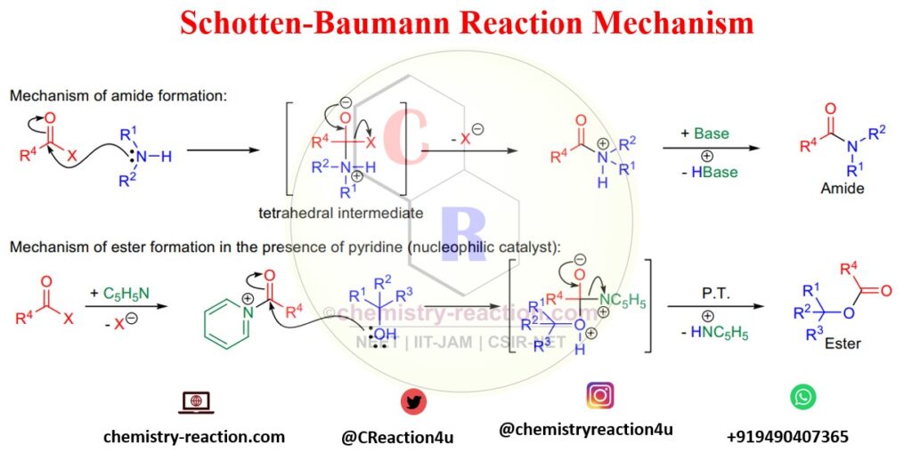 schotten baumann reaction of phenol mechanism