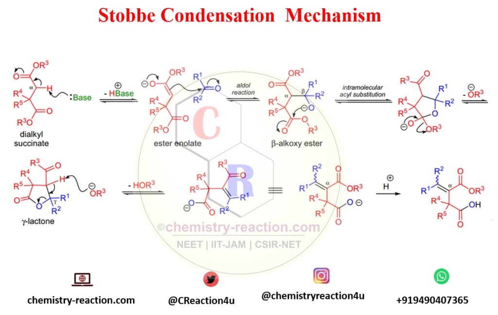 Mechanism of Stobbe Condensation: