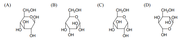 The Haworth projection for α-anomer of D-glucose is