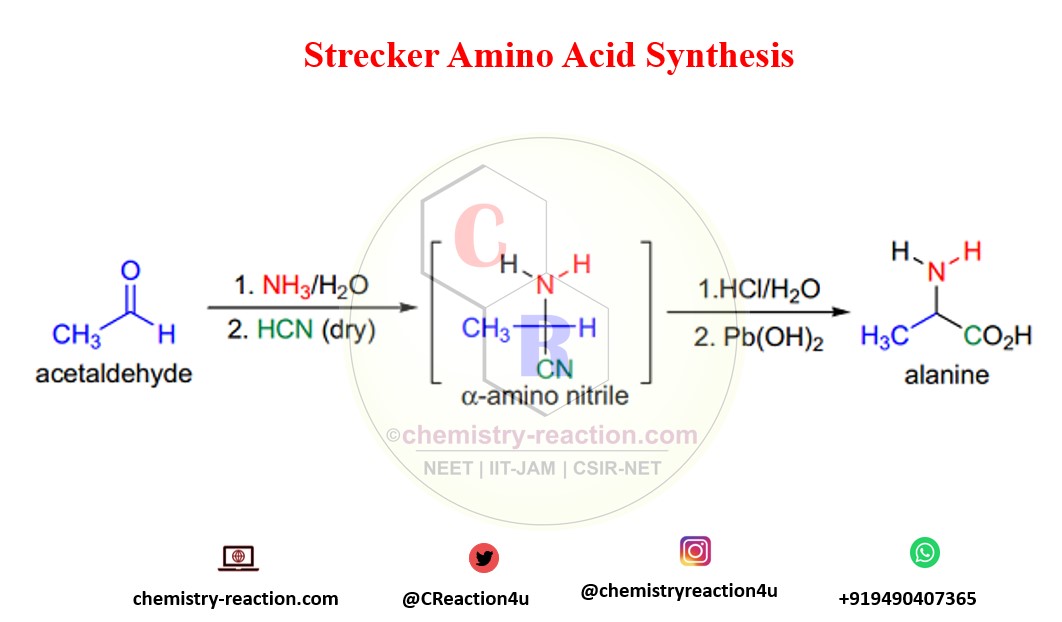 Strecker Reaction Synthesis of Amino Acids Mechanism