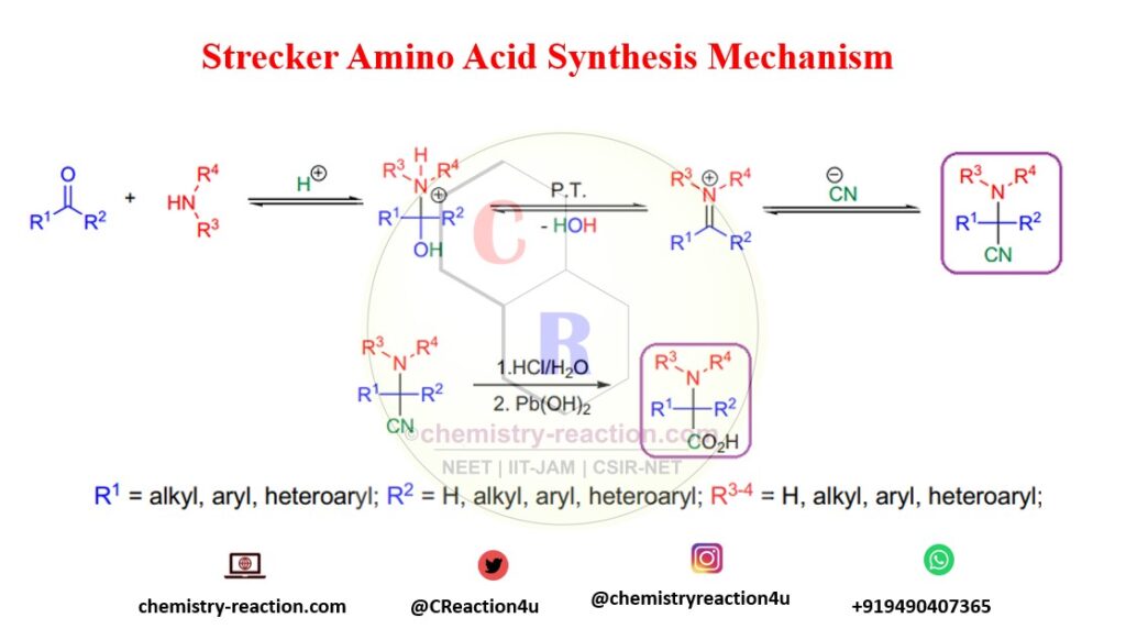 strecker reaction mechanism| strecker synthesis mechanism |