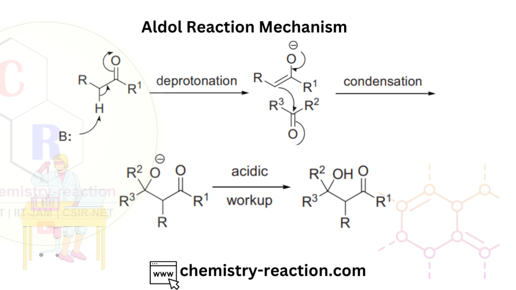 Mechanism of the Aldol Reaction 