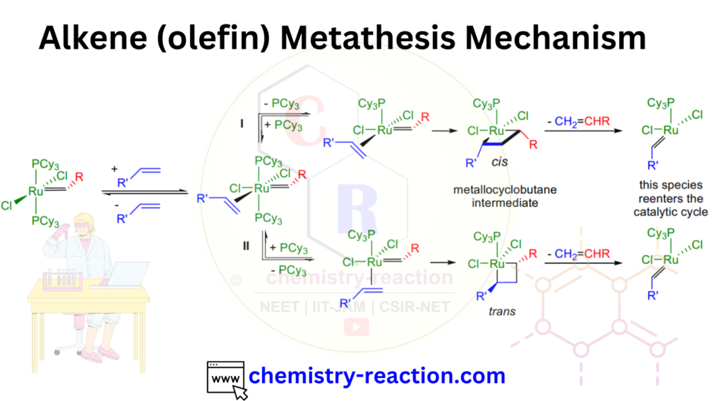 Olefin Metathesis Mechanism