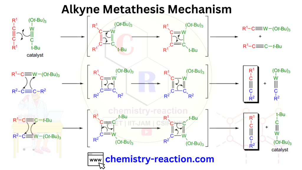 Alkyne Metathesis Mechanism