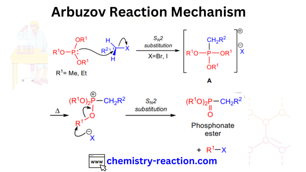 Arbuzov Reaction Mechanism, Michaelis-Arbuzov Reaction Mechanism