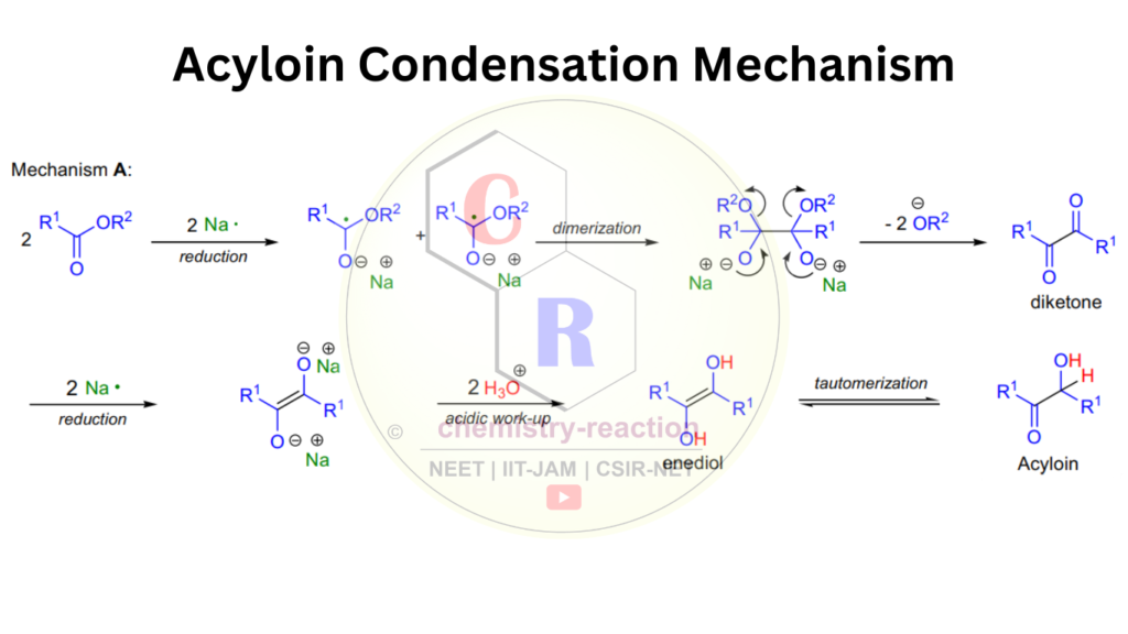 Acy​loin Condensation Reaction Mechanism