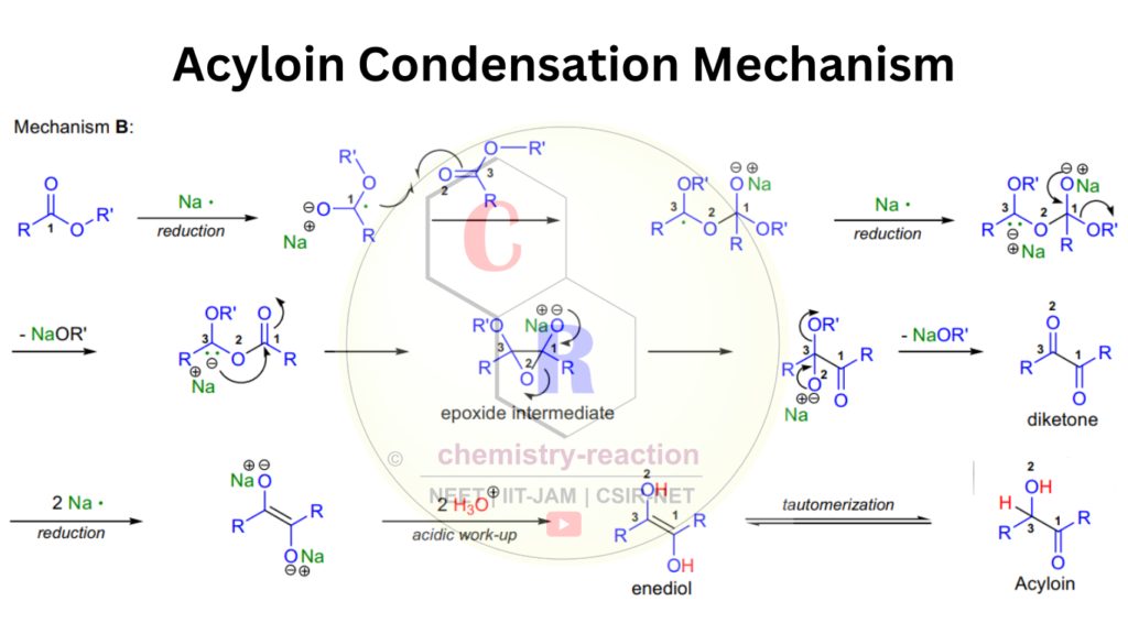 Acy​loin Condensation Mechanism: