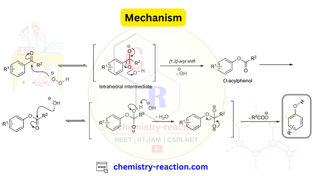 Dakin Oxidation Reaction Mechanism