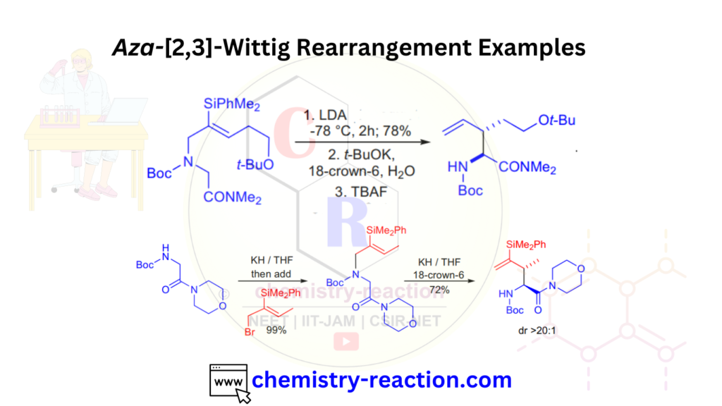  Aza -[ 2 3 ]- wittig rearrangement example